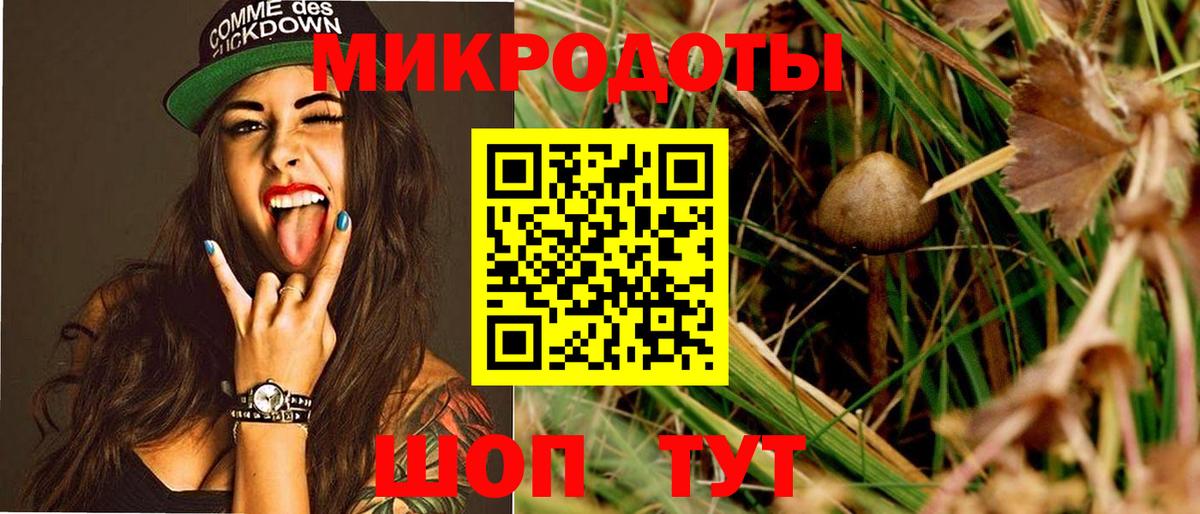 Галлюциногенные грибы Psilocybe Можга