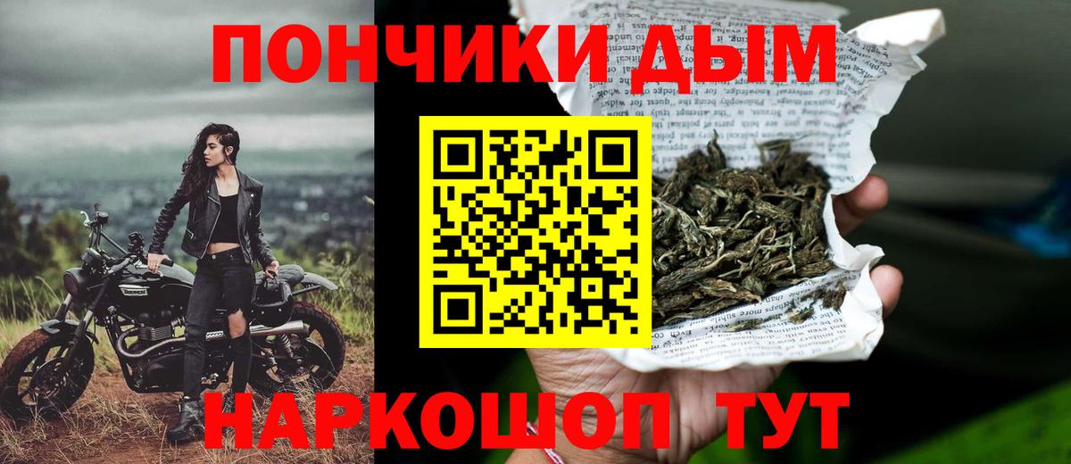  COCAIN Можга